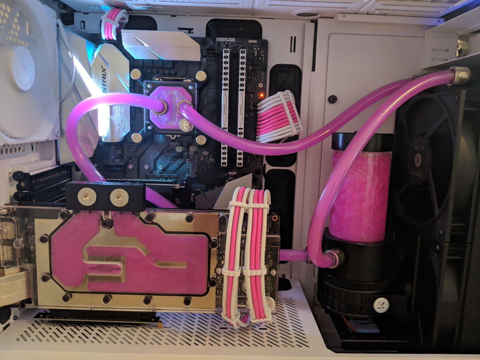 A closer look at the finished loop: the pink GPU block, CPU block, and reservoir