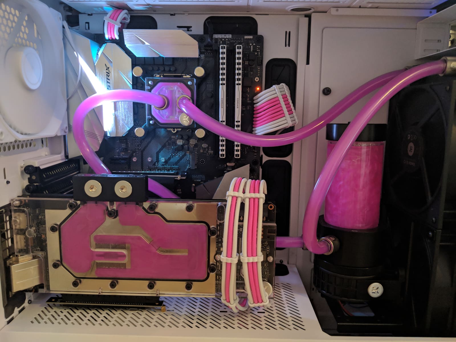 Close-up of the GPU water block, sleeved cables, and reservoir full of pink coolant